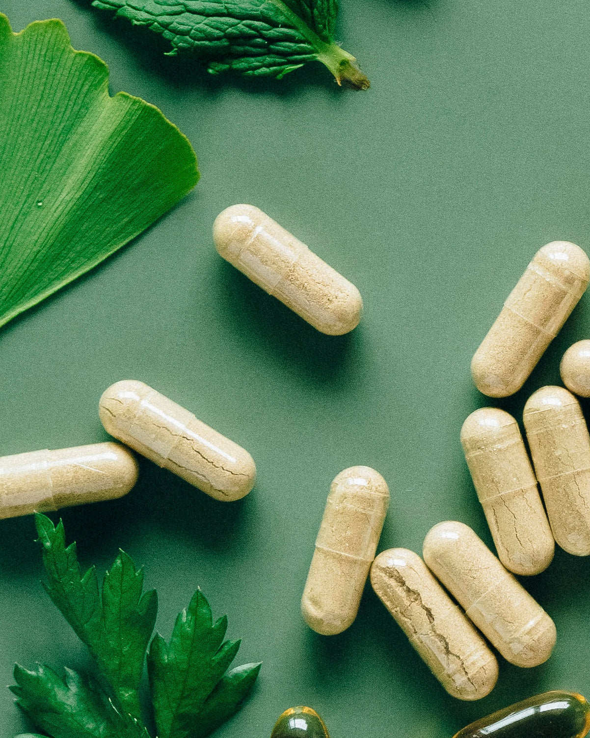 NORDBO LACTITOTAL 60 KAPSLER - VEGANSK