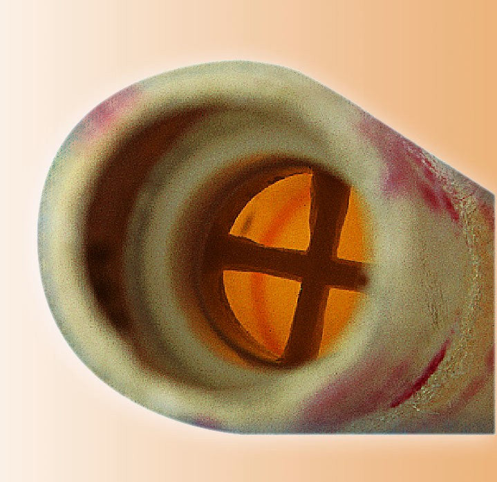 Ørekærter 12 par (24 stk.)