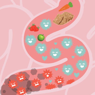 NORDBO LACTITOTAL 30 KAPSLER - VEGANSK